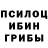 Галлюциногенные грибы Magic Shrooms GARDITTO
