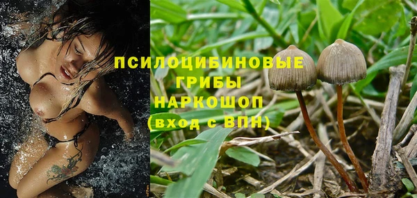 бошки Арсеньев