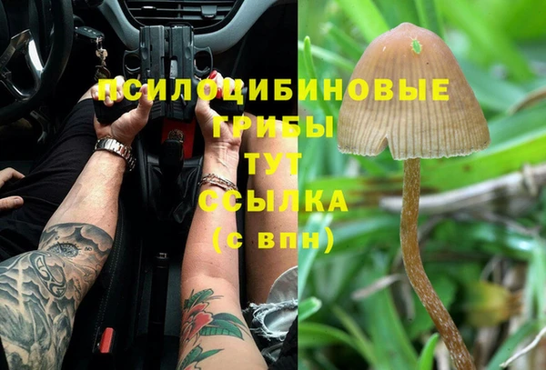 бошки Арсеньев