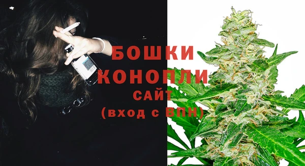 винт Аркадак