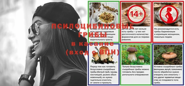 винт Аркадак
