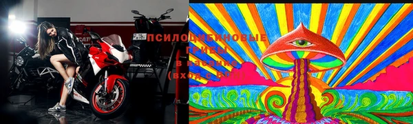 винт Аркадак