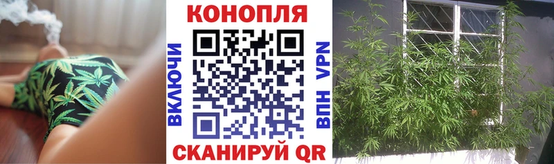 Бошки марихуана план  Купить где  Сысерть 